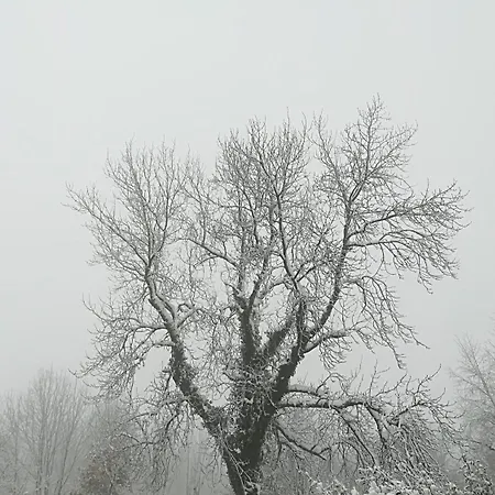 Santuario Urkiola - Lagunetxea מלון 3*